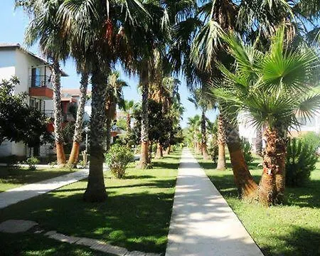 Palm *
