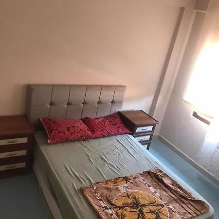 Palm Apartamento *